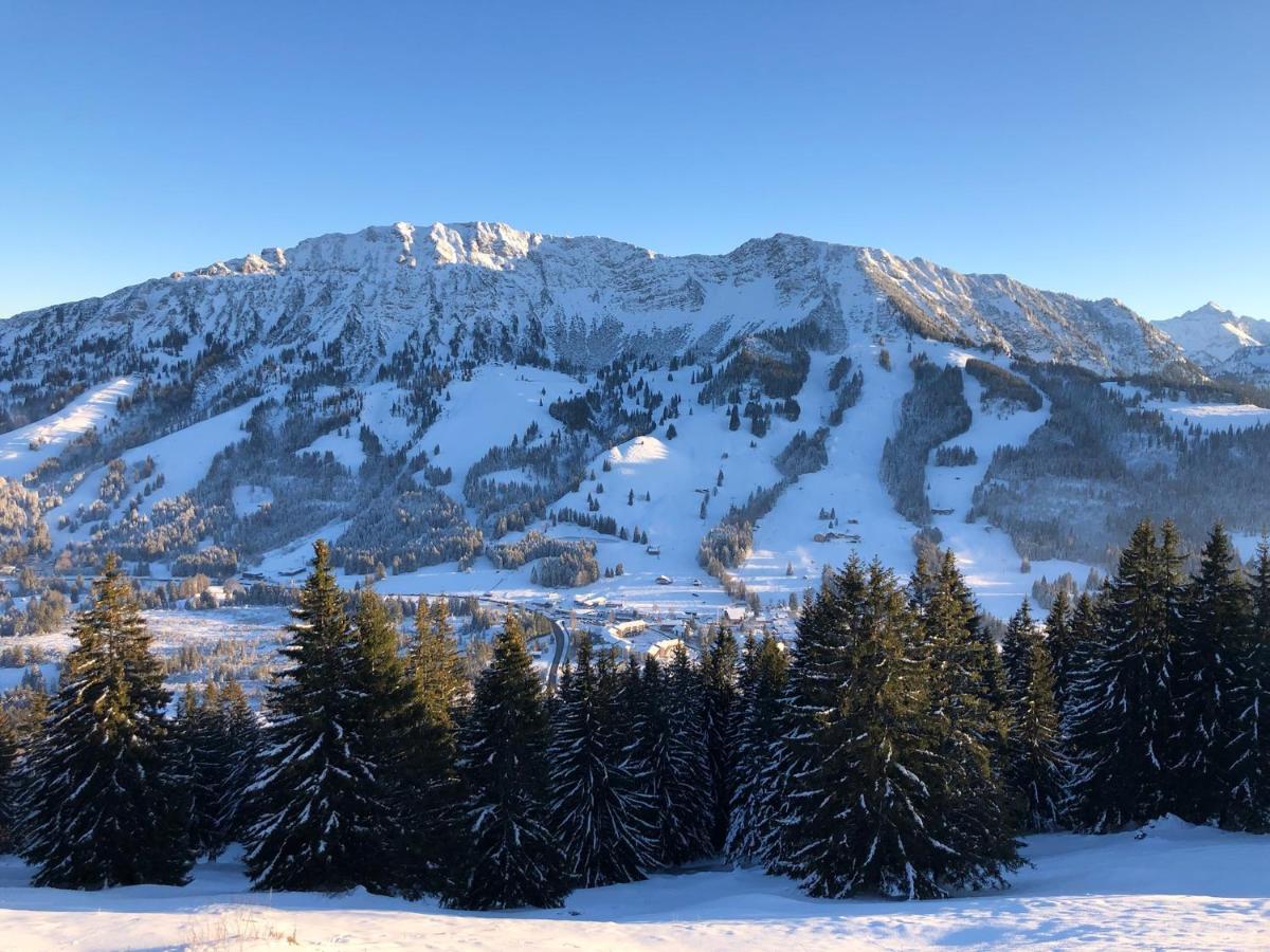 Mountain Lodge Oberjoch, Bad Hindelang - Moderne Premium Wellness Apartments Im Ski- Und Wandergebiet Allgau Auf 1200M, Family Owned, 2 Apartments Mit Privat Sauna Exterior photo